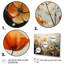 Orange Seasonal Flowers Seasonal Collage II-1517934708-1517934671-1479364097