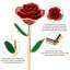 Behka Arrangement-634889695