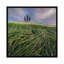 «Spring in Tuscany VI», impression sur toile-31294865-73211481-73211482