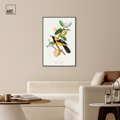 Reproduction d'art sur toile, Jacamar, 1842 par Gervais