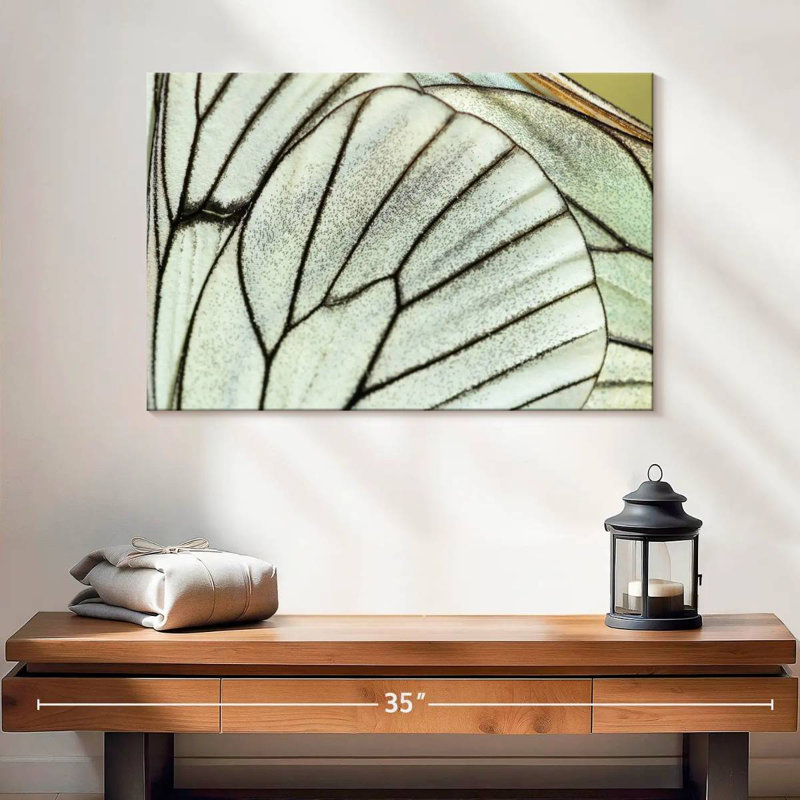 Brampt Simple Butterfly Wings, 16" H x 24" W
