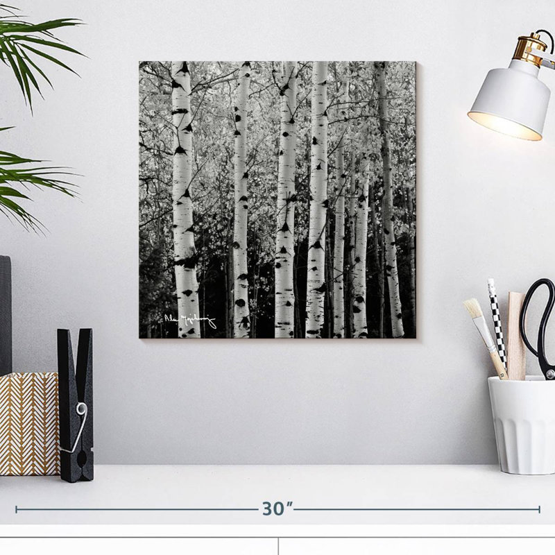 Alvord Aspens en automne BW, H 16 po x l 16 po