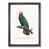 Walnut Framed selected