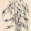 Haver Print by Willem Wenckebach