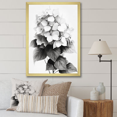 " Gray White Hydrangea Bloom IV "