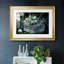 Tulipes sauvages-552863865-552863876