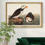 Grand macareux moine - reproduction de photo sur toile-1513019489-1513019420