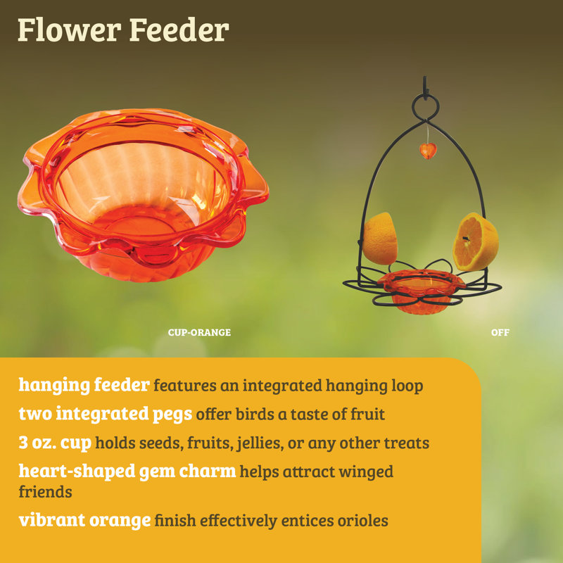 Orange and Black Polycarbonate Oriole Feeder with Heart Ornament