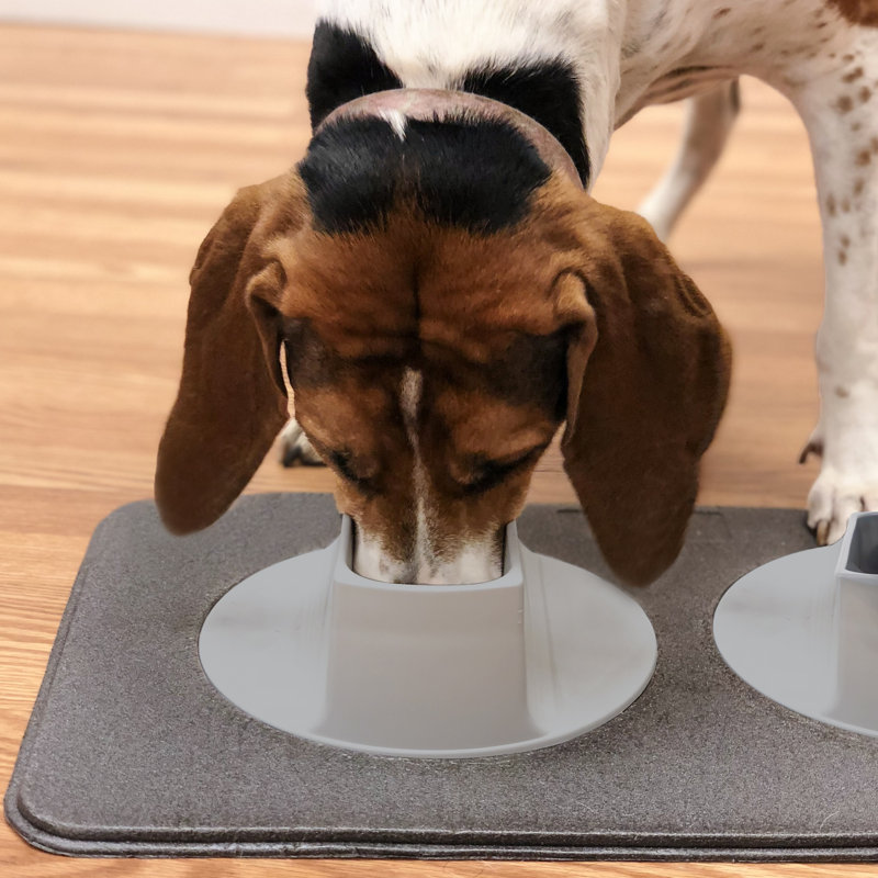 Bol d'alimentation Ear Ear