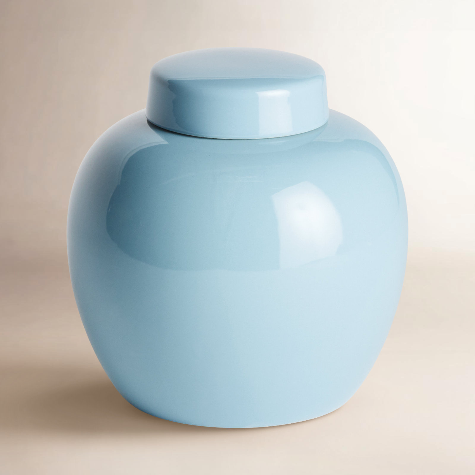 Francina 9.5'' Handmade Ceramic Ginger Jar, Blue, 9.5" H x 9" W x 9" D