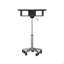 Table pliante pour ordinateur portable, graphite