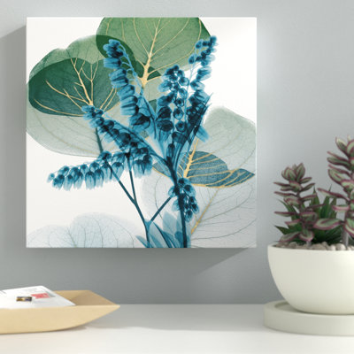 " Golden Lilly Of Eucalyptus 2 "