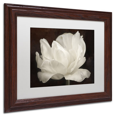 « white tulip iii », reproduction de photo sur toile encadrée