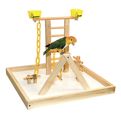 Terrain de bois acrobird