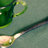 Avalon Cocktail Fork