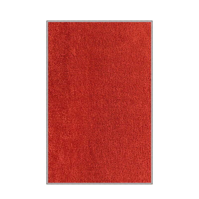Premium Hall Carpet, 3.3 x 6.6 Feet, 100% Polyester, 0.3 in Pile Height | Antibacterial, Non-Slip Underside, Machine Washable | Elegant 3D Digital Print Design, Perfect for Entryways & Living Rooms