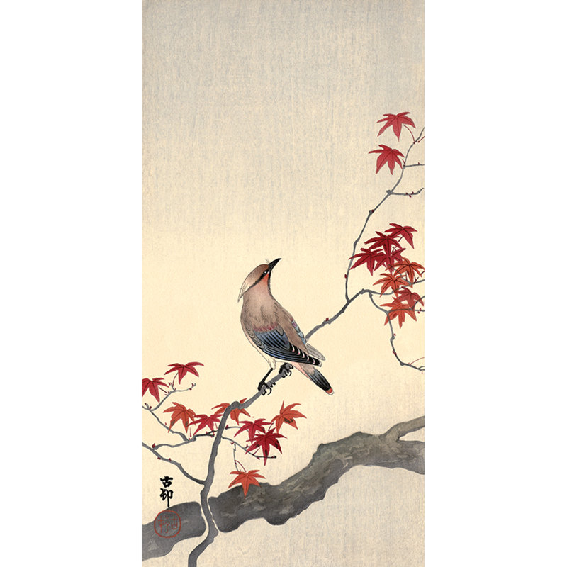 Japanese Waxwing on Maple 1 Piece Wrapped Canvas Wall Art