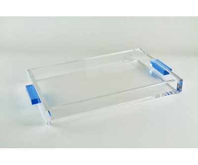 Lucite Handle Tray