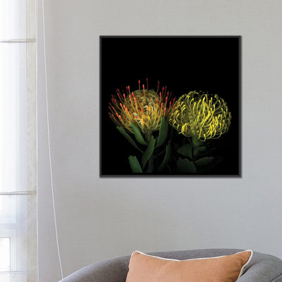 Double Fun Flower Fireworks  by Magda Indigo