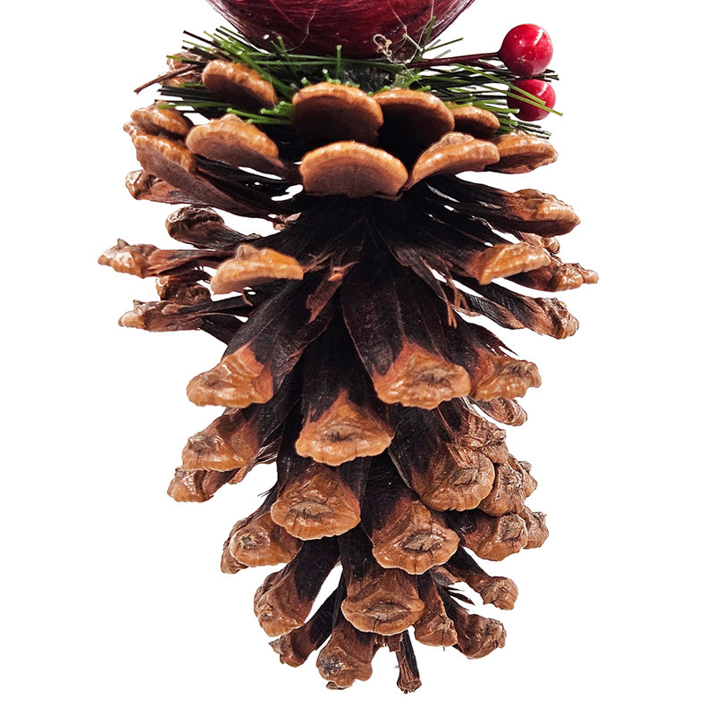 Keerthan Cardinal sur ensemble de 6 pommes de pin 5 po x 3,5 po x 6,5 po rouge / brun
