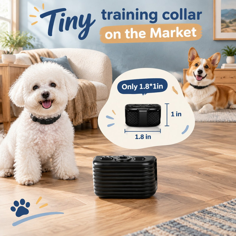 Noir et léger, ce collier de dressage de chien à distance rechargeable et imperméable a une portée de 1 300 pi et est conçu pour les petits chiens pesant de 5 à 15 lb ainsi que les chiens de taille moyenne et grande.