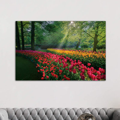 Special Garden by Marco Carmassi - Wrapped Canvas Print