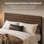 Cadre de lit plateforme avec tête de lit, style rétro moderne du milieu du siècle, rangement sous le lit, sommier à lattes métalliques robustes-931991037