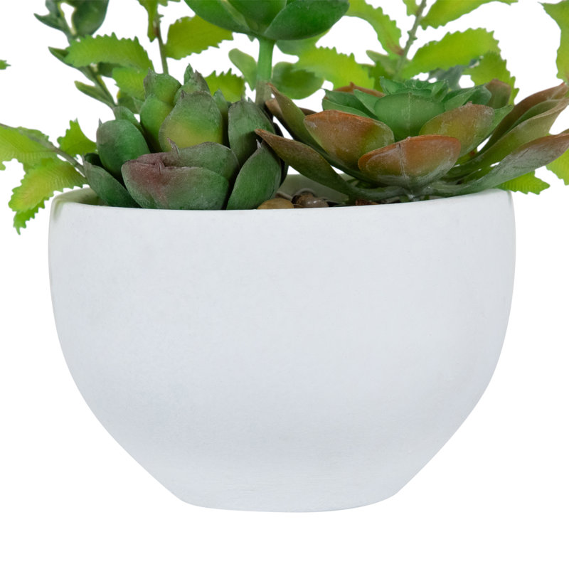 Plante grasse artificielle en pot 11,5 po