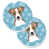 Brown Jack Russell Terrier