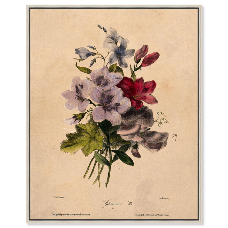Toile Elisa's Blooms par Art Remedy, Noir, H 21 po x l 17 po, Floater Frame