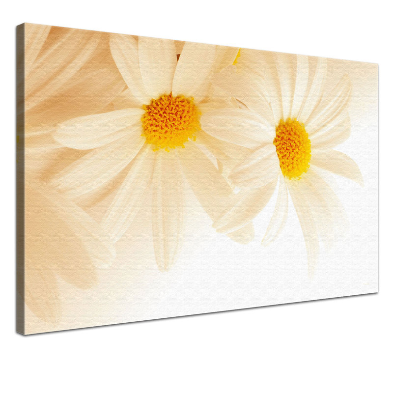 Print on Canvas, 100cm H x 150cm W x 2cm D