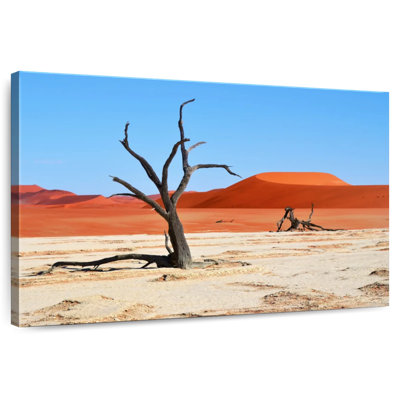 Dunes de sable rouge d'Alvord