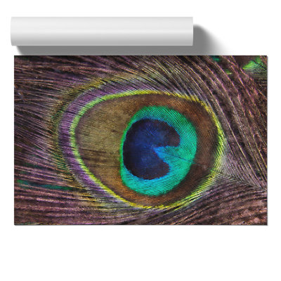 Peacock Feather Painting - Frameless Print