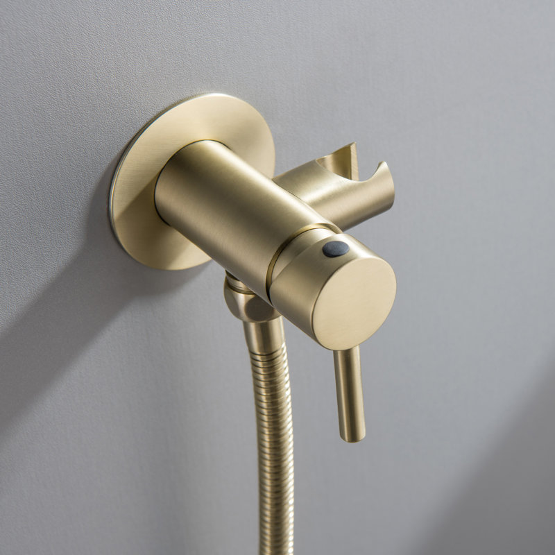 Handheld Bidet Sprayer for Toilet Round Hand Held Bidet with Faucet Bathroom Toilet Bidet Attachment, Brushed Gold