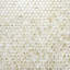 Majeste 0.5" x 2" Glass Fish Scale Mosaic Wall & Floor Tile-498014471