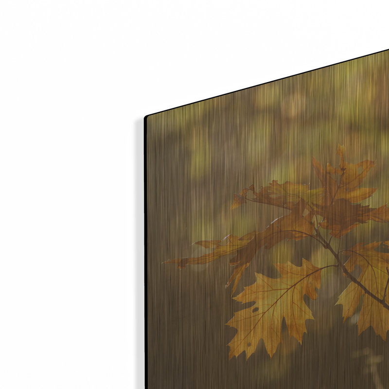 «Autumn Light» par Roeselien Raimond, H 12 po x l 16 po