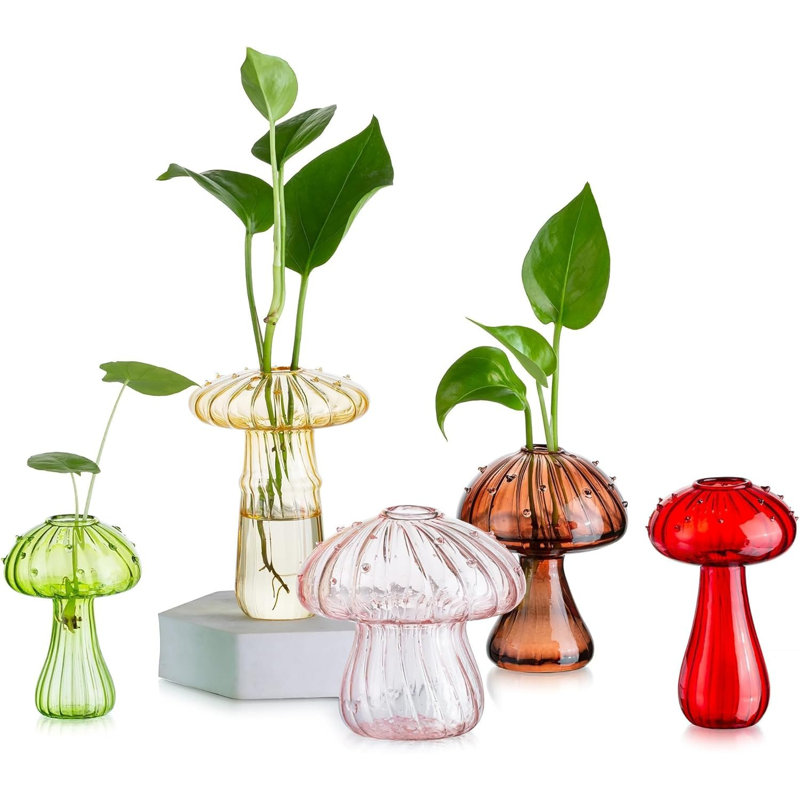 Ensemble de 5 stations de propagation en verre avec support en bois