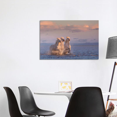 White Angels of Camargue XXIX 1 Piece Wrapped Canvas Wall Art