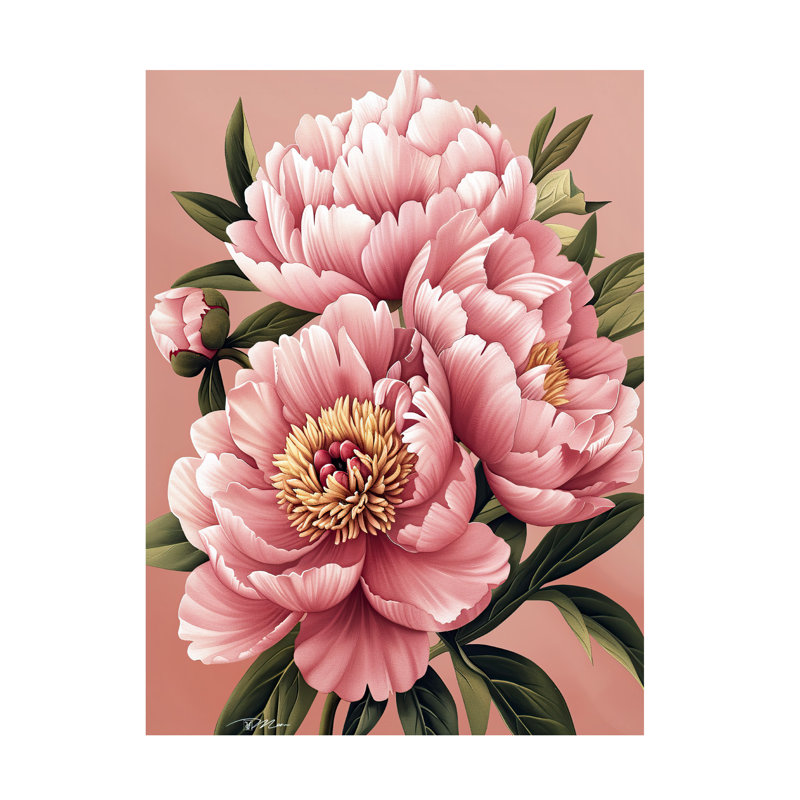 Art sur toile pivoines bolognaises,, H 14 po x l 19 po