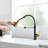 Commercial Black And Nickel Gold Kitchen Faucet With Pull Out Sprayer, Single Handle Single Lever Kitchen Sink Faucet-119337402