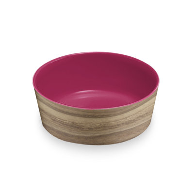 Brayton and Pet Bowl