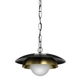 Carapace 1 - Light Pendant