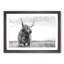 Highland Cow in Abstract - Framed Print-55763260-55763262
