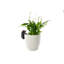Cintre Hérisson Pot Buddy