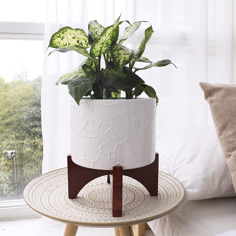 Nashwan Pot Planter, 9.8'' H x 8'' W x 8'' D