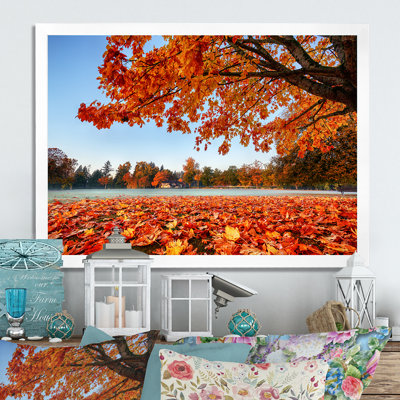 Mystic Autumn Forest - reproduction de cadre flottant sur toile
