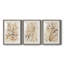 Parchment Coral I - ensemble de 3 reproductions de cadres photo-207375876-207375886