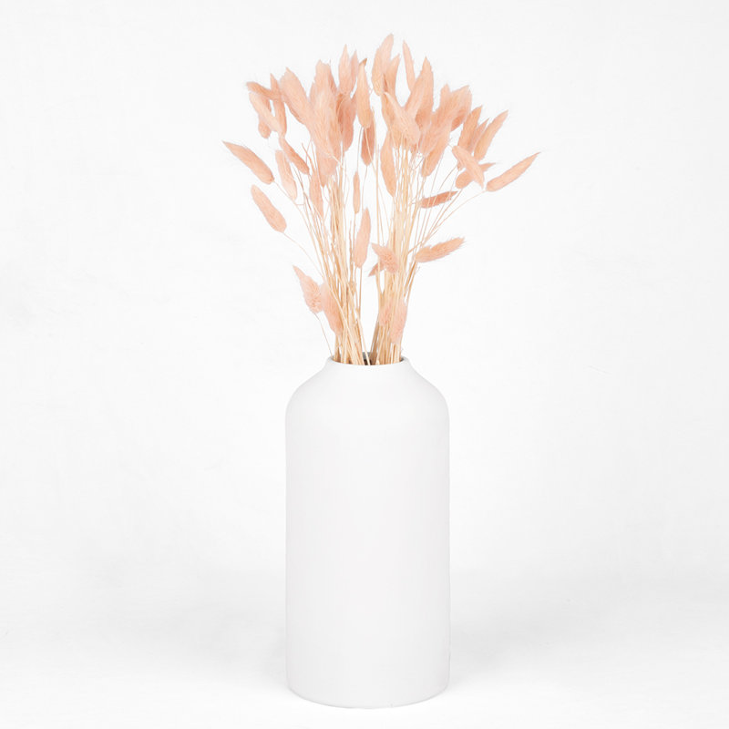 Ensemble de 50, Rose