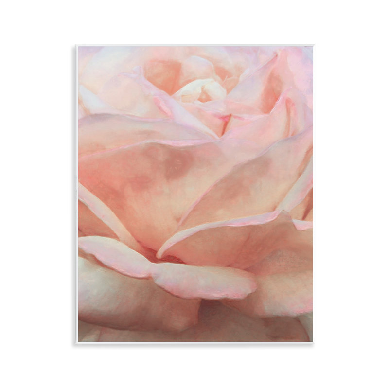 «Soft Soft Rose Petals» par Alonzo Saunders