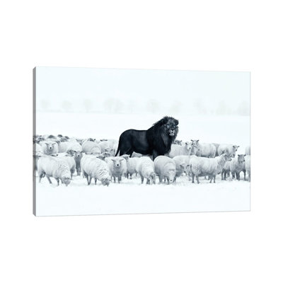 Lion Among Sheep - Gallery-Wrapped Canvas Giclée